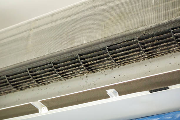 Best Professional Duct Cleaning Services  in Prospect, PA